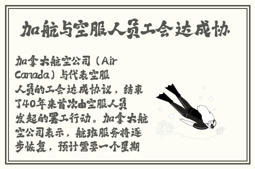 小猪视频下载安装下载网站
